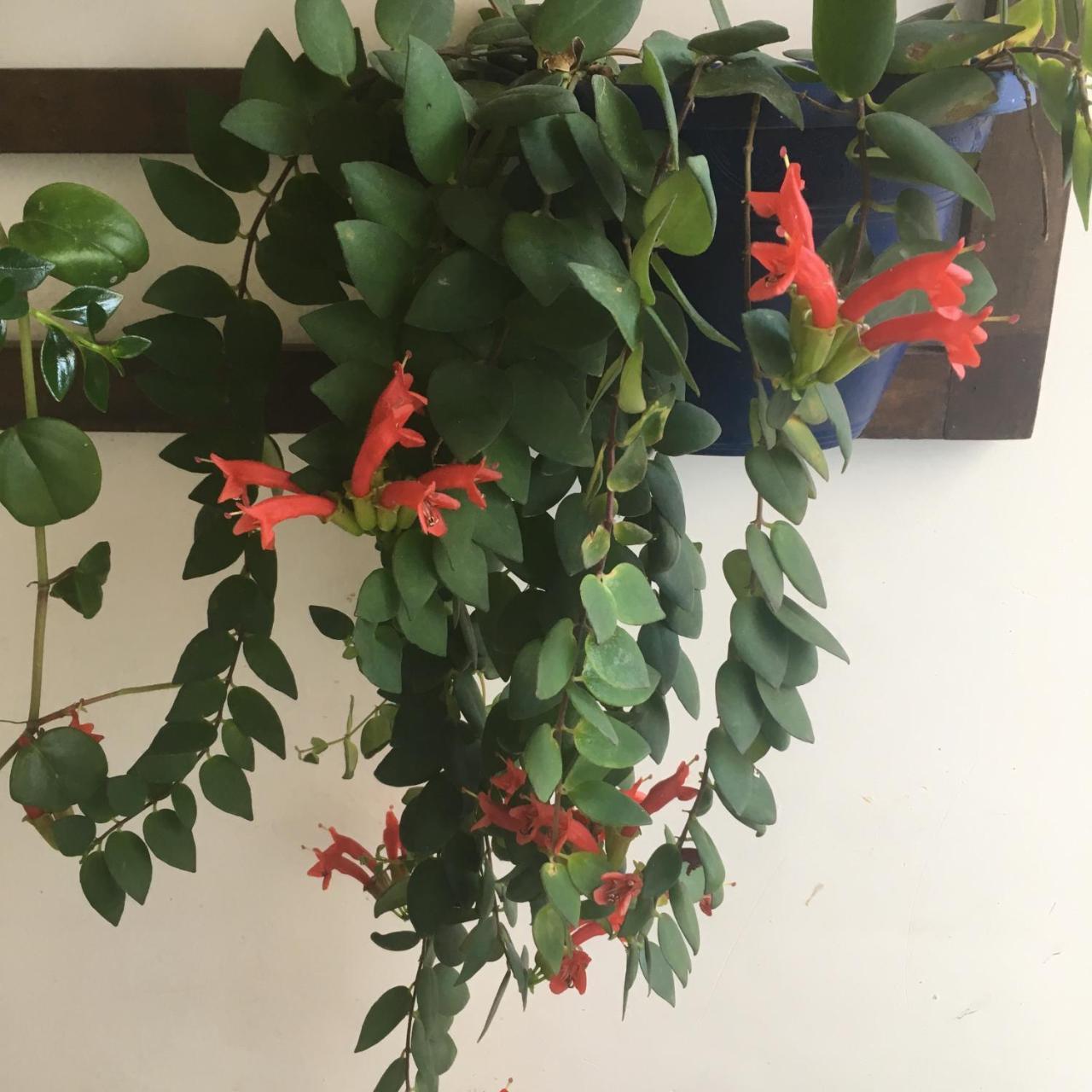 Pousada Bertioga Ngoại thất bức ảnh